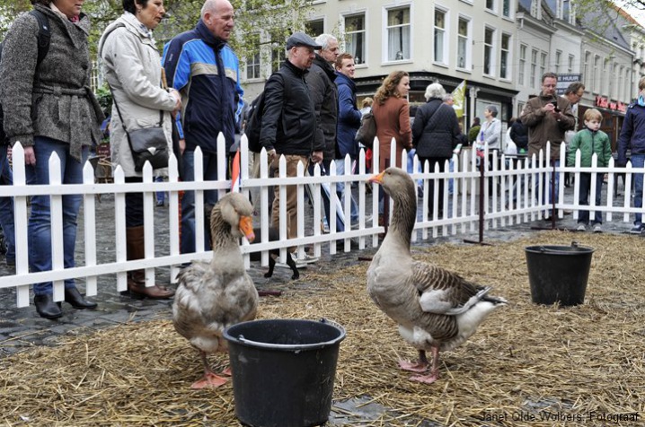 Bevrijdingsdag 2012 Breda