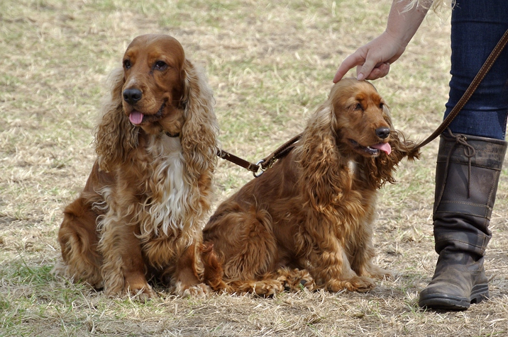 Outdoor Brabant 2012