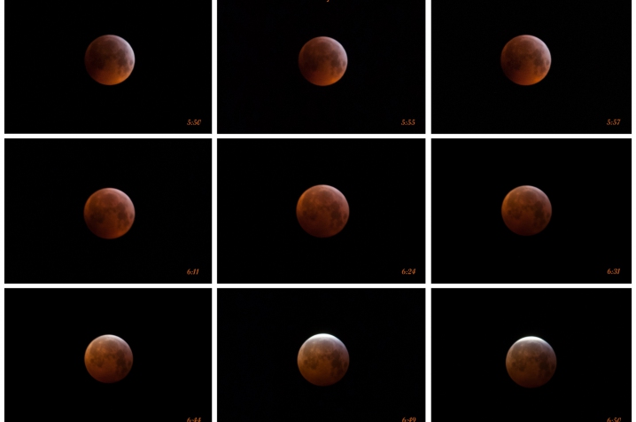 Bloedmaan 21-1-2019