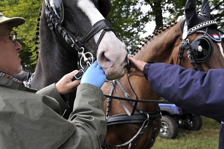 Outdoor Brabant 2012